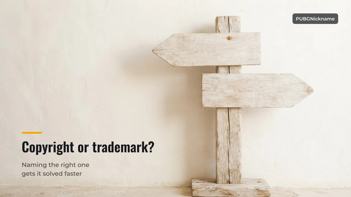 Choosing between a copyright and a trademark complaint at PUBGNickname